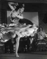 No Singing Allowed: Flamenco & Photography артикул 183b.